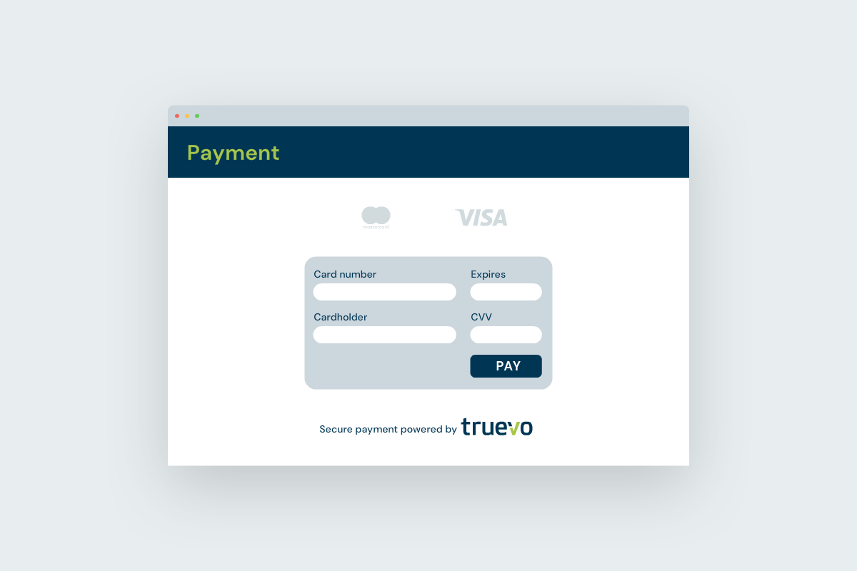 payment plugin
